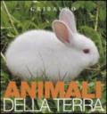 Animali di terra. Osservo e imparo. Ediz. illustrata