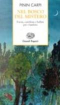 Nel bosco del mistero