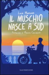 Il muschio nasce a Sud