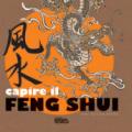 Capire il feng shui