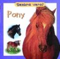 Pony