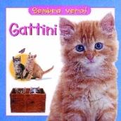 Gattini