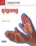 I segreti del qigong. Ediz. illustrata