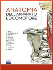 Anatomia dell'apparato locomotore