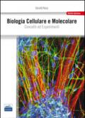 Biologia cellulare e molecolare. Concetti e esperimenti
