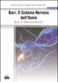 Barr. Il sistema nervoso dell'uomo. Basi di neuroanatomia