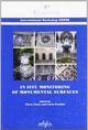 In situ. Monitoring of monumental surfaces. Atti del Convegno internazionale di studi (Firenze, 27-29 ottobre 2008)