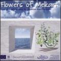 Flowers of Melkart. Buds of tradition along the phoenician maritime routes
