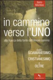 In cammino verso l'Uno. Dallo sciamanesimo al cristianesimo e oltre. Alla ricerca della fonte dell'immenso amore