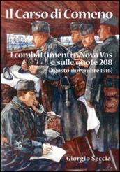 Il Carso di Comeno. I combattimenti a Nova Vas e sulle quote 208 (agosto-novembre 1916)