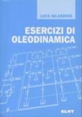 Esercizi di oleodinamica