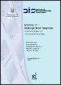 Synthesis of underspecified composite e-services based on automated reasoning. Ediz. italiana e inglese
