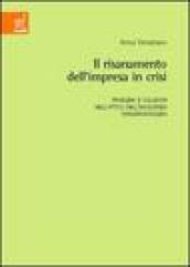 Il risanamento dell'impresa in crisi. Problemi e soluzioni nell'ottica dell'insolvenza trnsfrontaliera