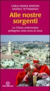 Alle nostre sorgenti. La Chiesa ambrosiana pellegrina nella terra di Gesù