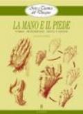 La mano e il piede