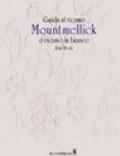 Guida al ricamo Mountmellick o ricamo in bianco