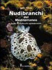 Nudibranchi del Mediterraneo