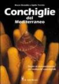 Conchiglie del Mediterraneo