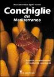 Conchiglie del Mediterraneo