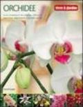 Orchidee. Ediz. illustrata