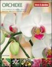 Orchidee. Ediz. illustrata