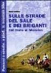 Sulle strade del sale e dei briganti. Dal mare al Monviso. Ediz. illustrata