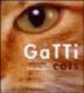 Gatti-Cats