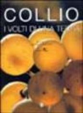 Collio. I volti di una terra