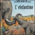 L'elefantino