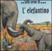 L'elefantino