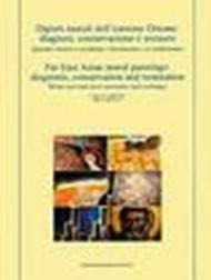 Dipinti murali dell'Estremo Oriente: diagnosi, conservazione e restauro. Ediz. italiana e inglese