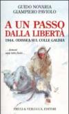 A un passo dalla libertà. 1944. Odissea sul colle Galisia... domani sarà tutto finito...