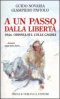 A un passo dalla libertà. 1944. Odissea sul colle Galisia... domani sarà tutto finito...