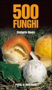 Cinquecento funghi