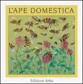 L'ape domestica