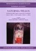 Saturnia tellus. Definizioni dello spazio consacrato in ambiente etrusco, italico, fenicio-punico, iberico e celtico. Ediz. multilingue