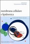 Membrana cellulare e lipidomica. La salute dalla medicina molecolare