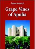 Grape vines of Apuleia