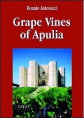 Grape vines of Apuleia