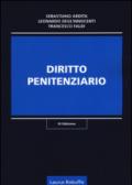 Diritto penitenziario