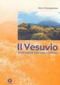 Il Vesuvio. Storia di un vulcano a rischio