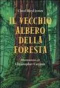 Il vecchio albero della foresta