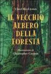 Il vecchio albero della foresta