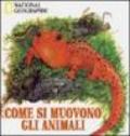 Come si muovono gli animali