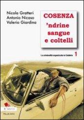 La criminalità organizzata in Calabria. 1: Cosenza 'ndrine sangue e coltelli