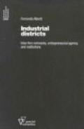 Industrial districts. Inter-firm networks, entrepreneurial agency and institutions