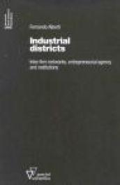 Industrial districts. Inter-firm networks, entrepreneurial agency and institutions