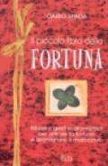 Il piccolo libro della fortuna