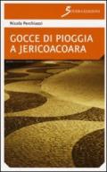 Gocce di pioggia a Jericoacoara