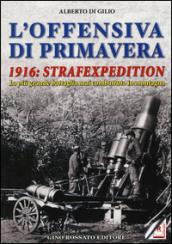 L'offensiva di primavera. 1916: strafexpedition. La più grande battaglia mai combattuta in montagna